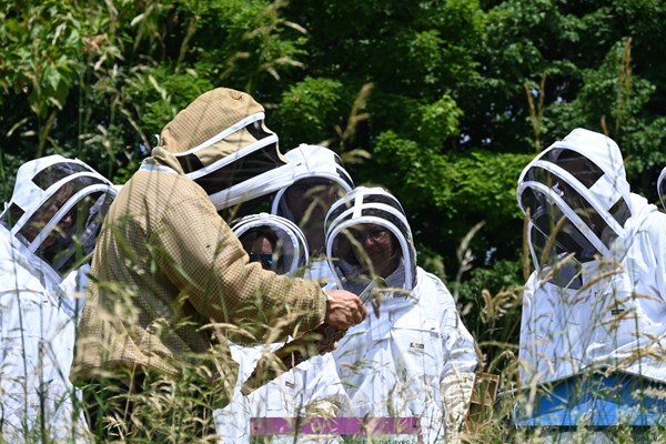 Des ruches et des abeilles aux Glaisins